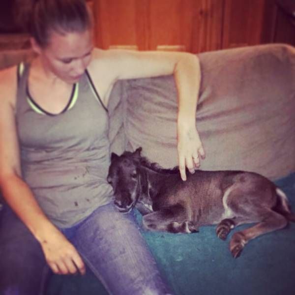 Daily Pictures. Part 1 (69 pics)