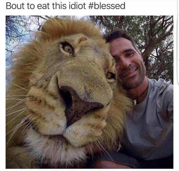 Daily Pictures. Part 2 (68 pics)