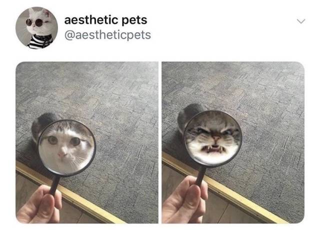 Daily Pictures. Part 2 (68 pics)