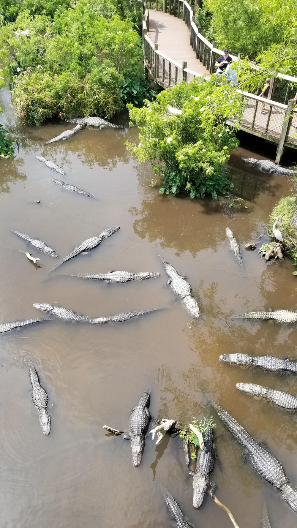 Daily Pictures. Part 2 (68 pics)