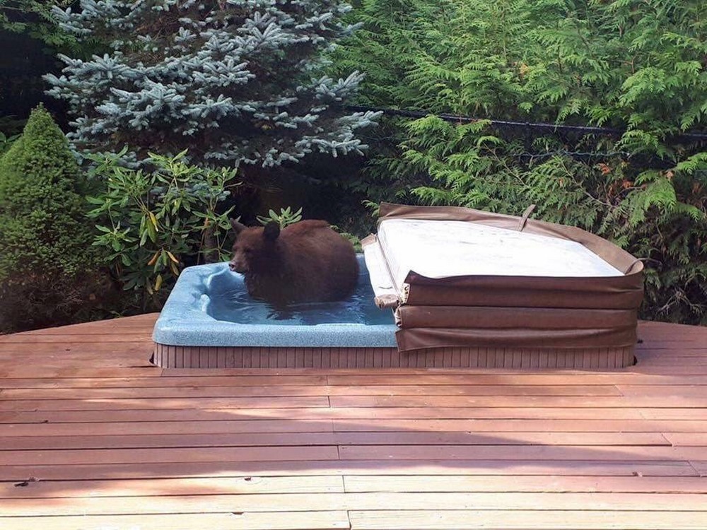 Daily Pictures. Part 2 (68 pics)