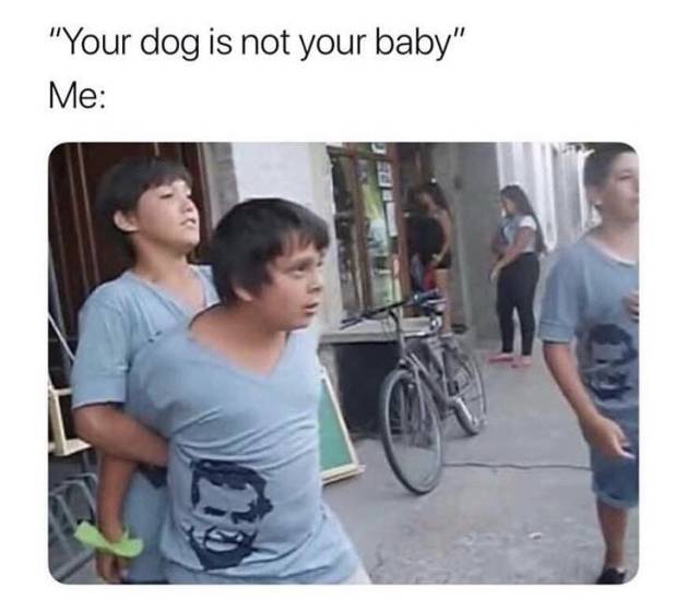 Daily Pictures. Part 2 (68 pics)