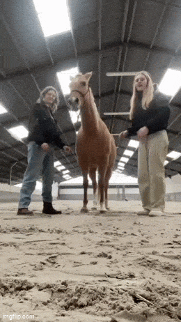 Acid GIFs, March 12 (25 gifs)