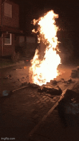 Acid GIFs, March 12 (25 gifs)
