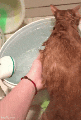 Acid GIFs, March 12 (25 gifs)