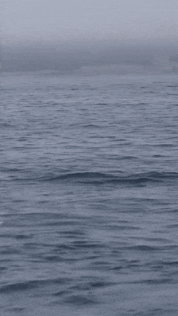 Acid GIFs, March 12 (25 gifs)