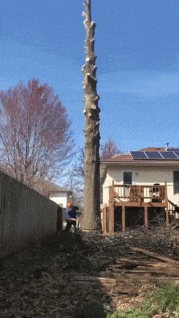 Acid GIFs, March 12 (25 gifs)