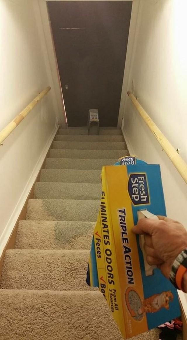 Unfortunate Day (19 pics)