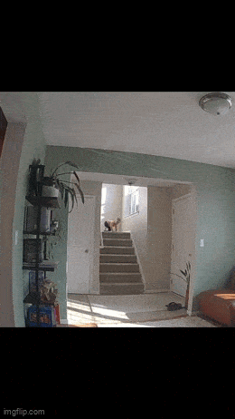 Acid GIFs, March 13 (25 gifs)