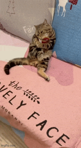 Acid GIFs, March 13 (25 gifs)