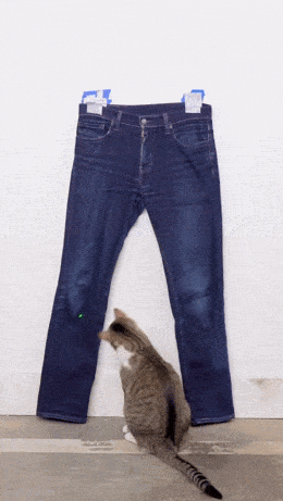 Acid GIFs, March 13 (25 gifs)