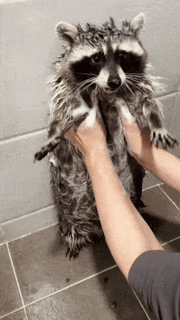 Acid GIFs, March 13 (25 gifs)