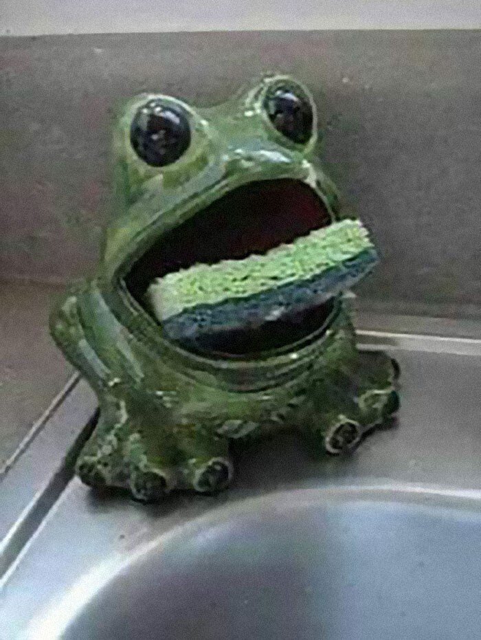 Strange Finds In Thrift Shops (27 pics)