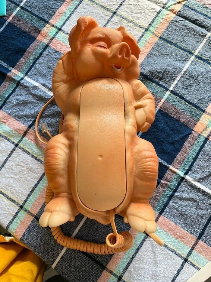 Strange Finds In Thrift Shops (27 pics)