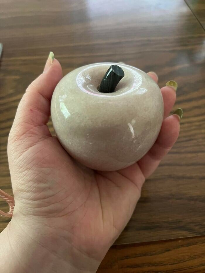 Strange Finds In Thrift Shops (27 pics)