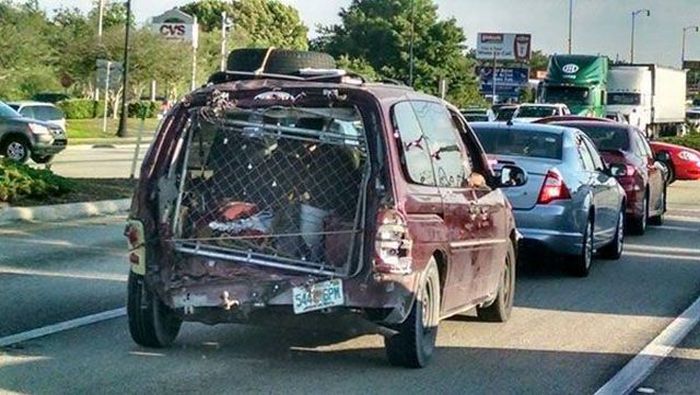 Daily Pictures. Part 1 (77 pics)