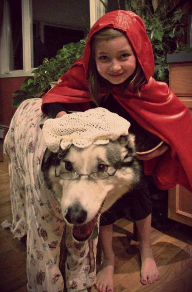 Daily Pictures. Part 1 (77 pics)