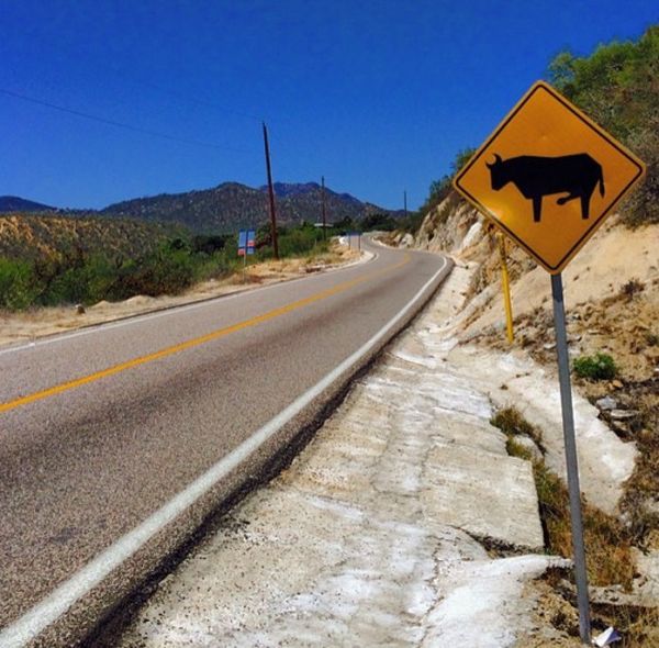 Daily Pictures. Part 1 (77 pics)