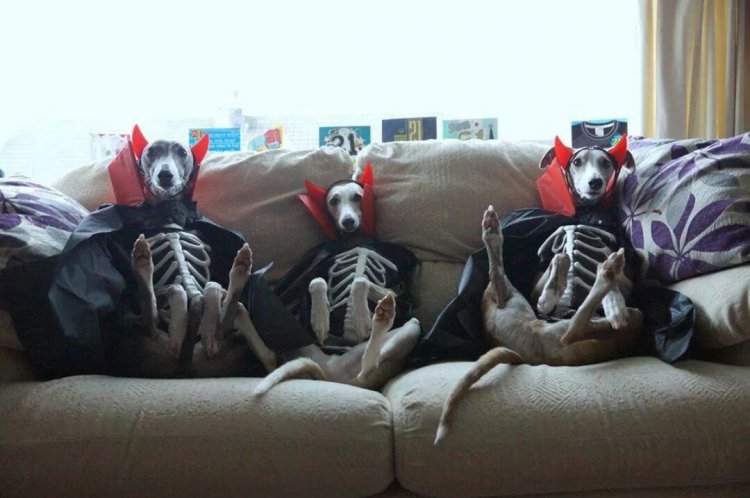 Daily Pictures. Part 1 (77 pics)