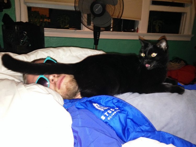 Daily Pictures. Part 1 (77 pics)