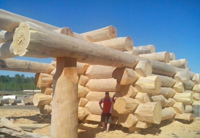 Daily Pictures. Part 1 (77 pics)