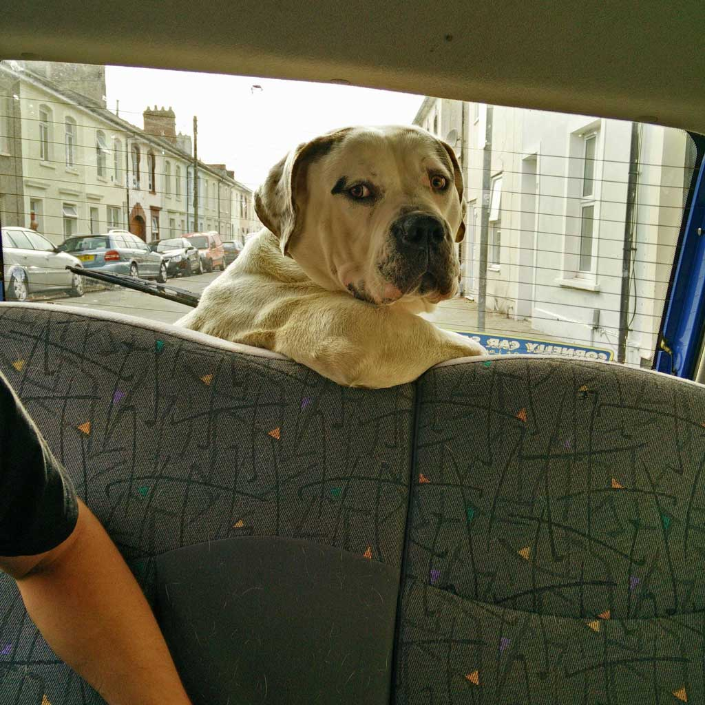 Daily Pictures. Part 2 (76 pics)