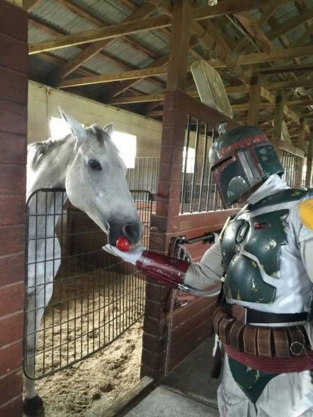 Daily Pictures. Part 2 (76 pics)