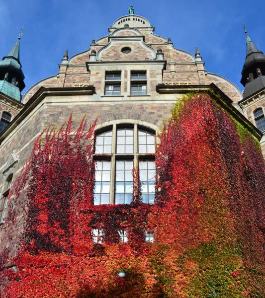 Daily Pictures. Part 1 (77 pics)