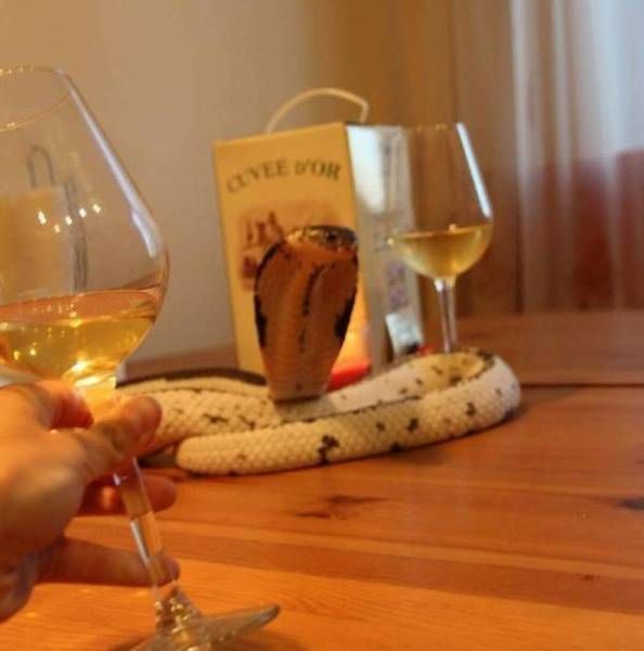 Daily Pictures. Part 1 (77 pics)