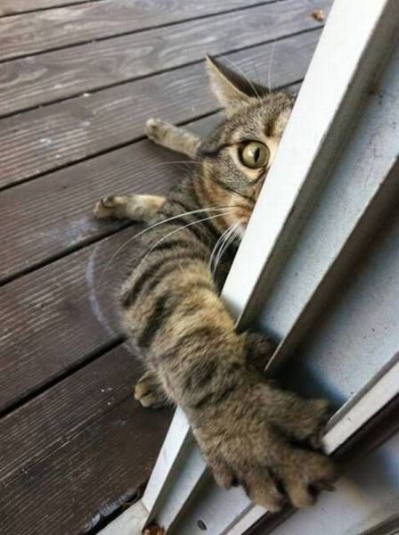 Daily Pictures. Part 1 (77 pics)