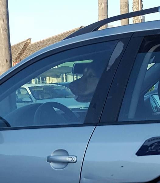 Daily Pictures. Part 1 (77 pics)