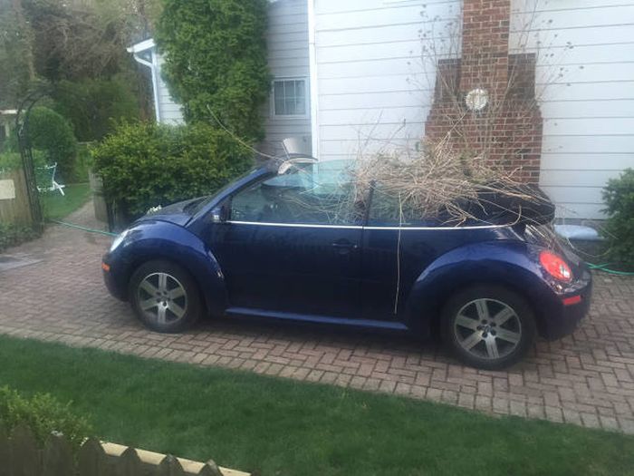 Daily Pictures. Part 1 (77 pics)