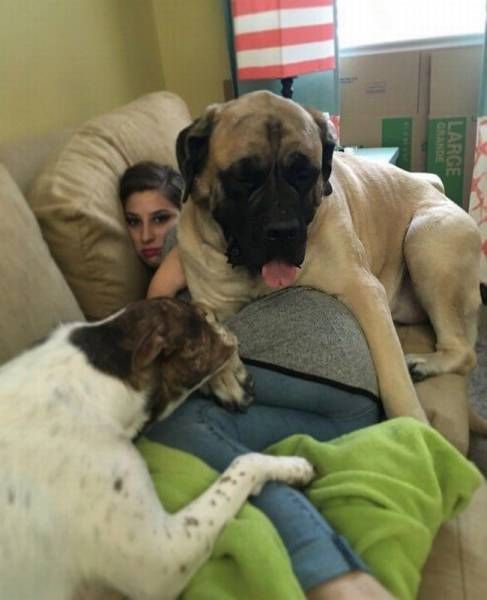 Daily Pictures. Part 1 (77 pics)