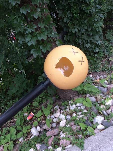 Daily Pictures. Part 1 (77 pics)