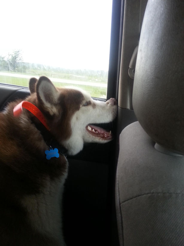 Daily Pictures. Part 1 (77 pics)