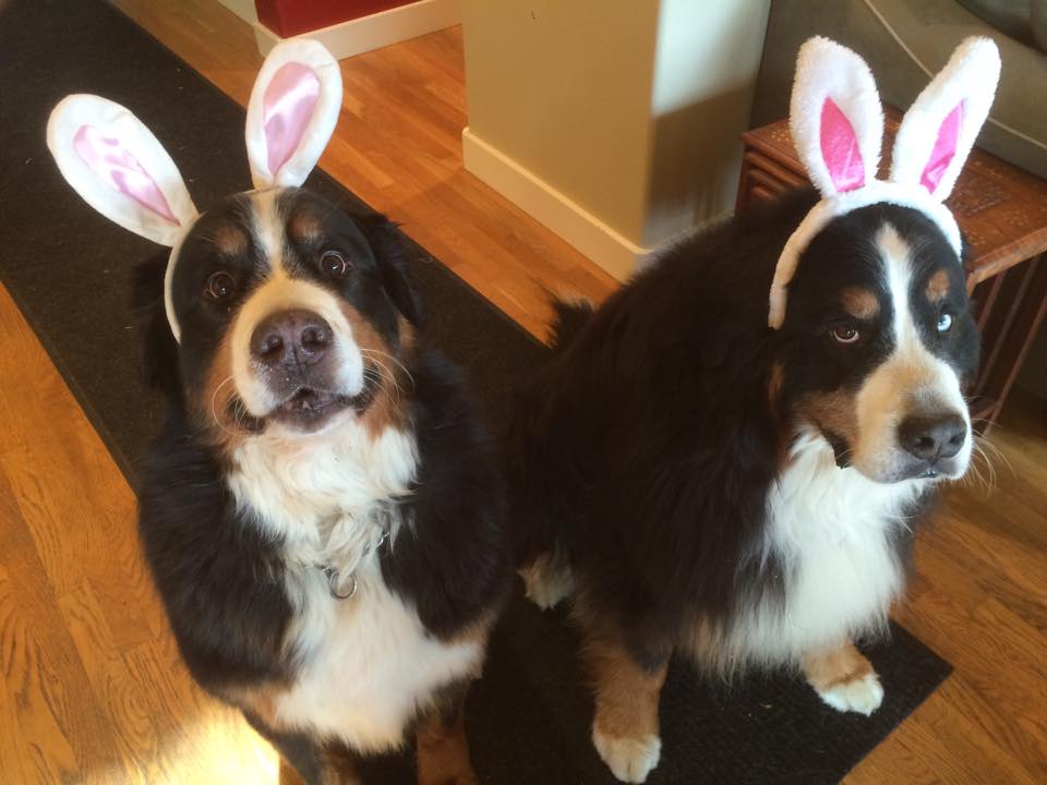 Daily Pictures. Part 1 (77 pics)