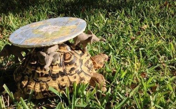 Daily Pictures. Part 1 (77 pics)