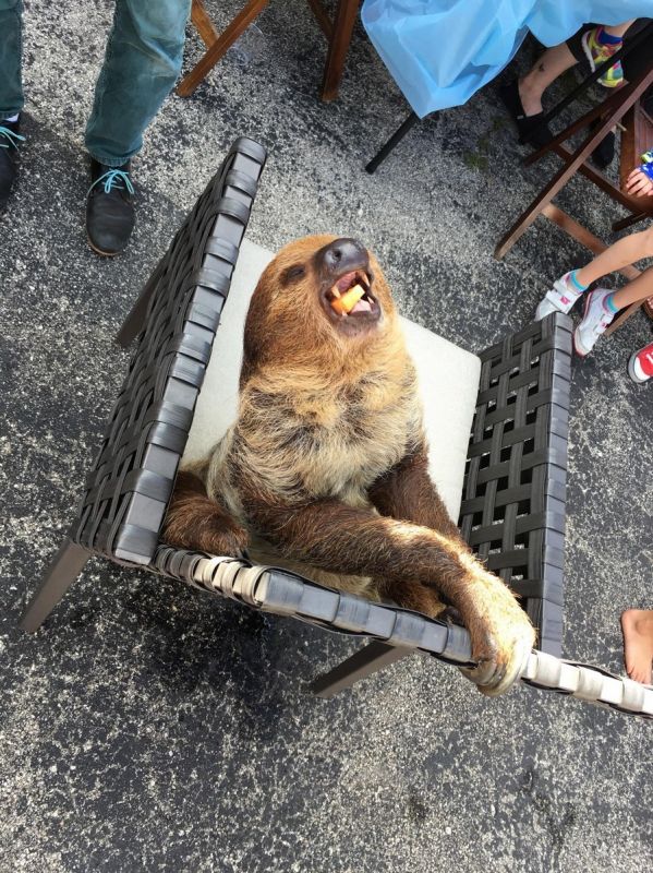 Daily Pictures. Part 2 (76 pics)