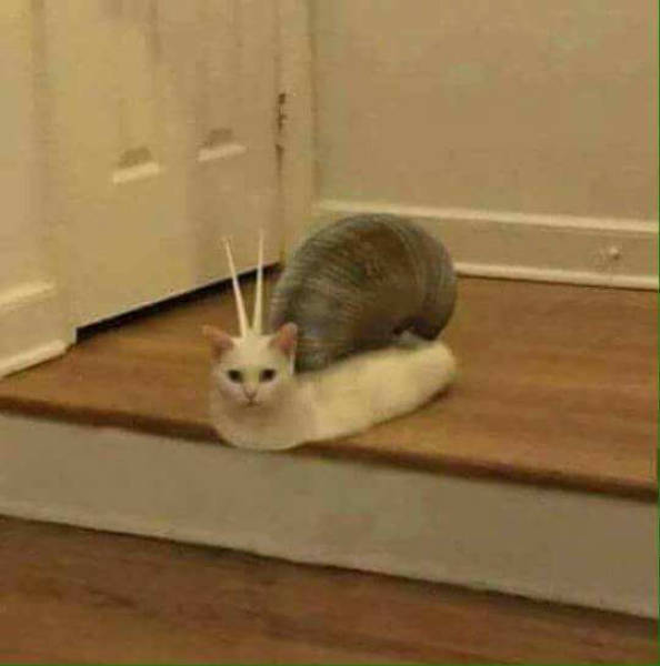 Daily Pictures. Part 2 (76 pics)