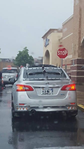 Daily Pictures. Part 2 (76 pics)