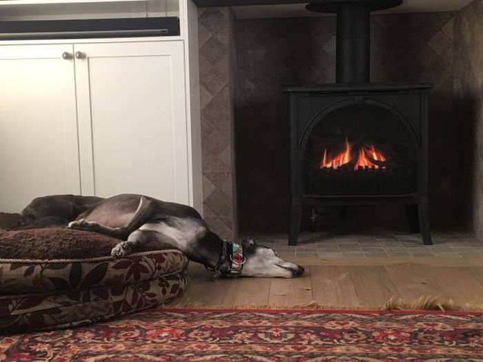 Daily Pictures. Part 2 (76 pics)