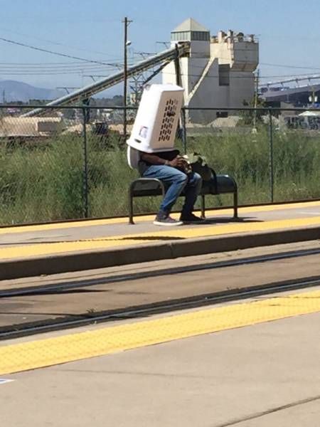 Daily Pictures. Part 2 (76 pics)