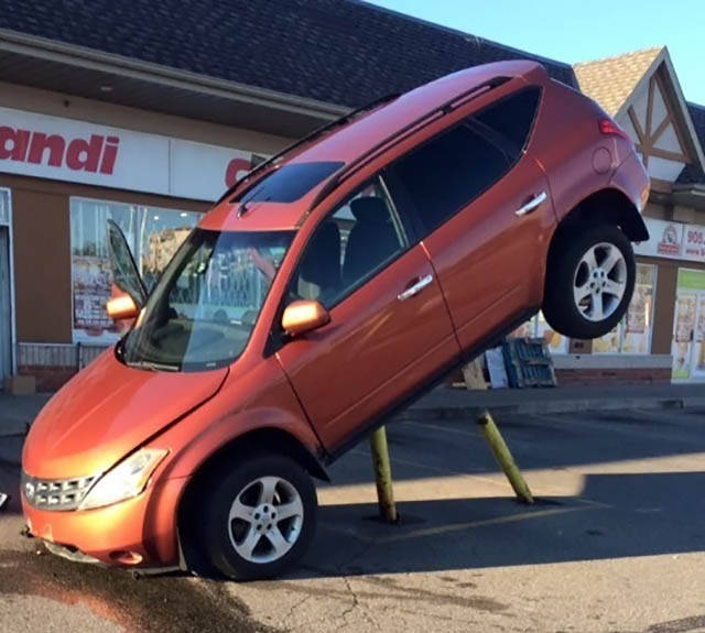 Daily Pictures. Part 2 (76 pics)