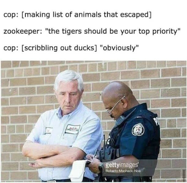 Daily Pictures. Part 2 (76 pics)