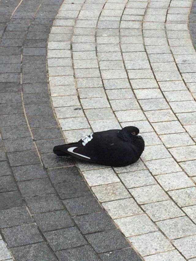 Daily Pictures. Part 2 (76 pics)