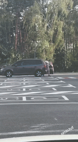 Acid GIFs, March 16 (25 gifs)