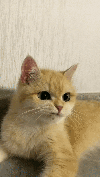 Acid GIFs, March 16 (25 gifs)