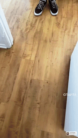 Acid GIFs, March 16 (25 gifs)