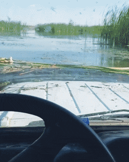 Acid GIFs, March 16 (25 gifs)