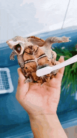 Acid GIFs, March 16 (25 gifs)
